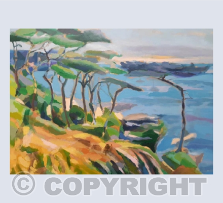 Cornish Cedars 2