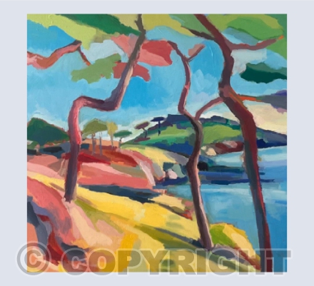 Tree Canopy St Anthony's