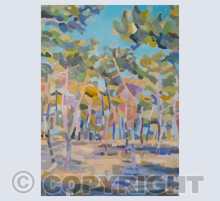 La Tremblade mid day