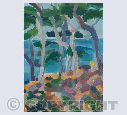 Cedar path