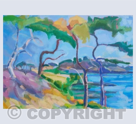 Monterey Pines by the Sea