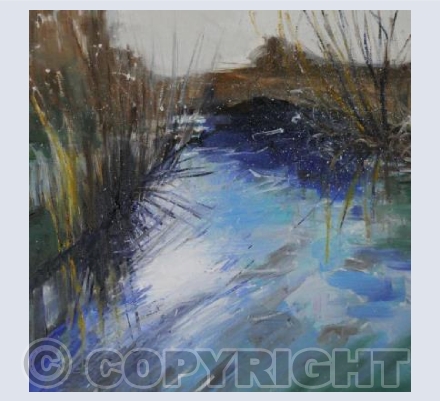 Water by the Coy Carp, Harefield
