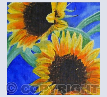 Sunflower 2