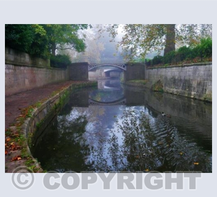Sydney Gardens, Autumn Mist
