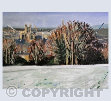 Frost in Bathwick Fields