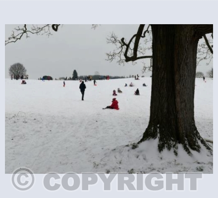 Sledging in Bathwick Fields
