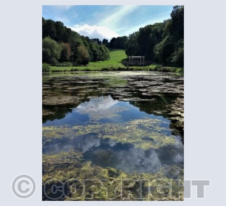 Prior Park Landscape Garden