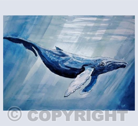 Whale 1