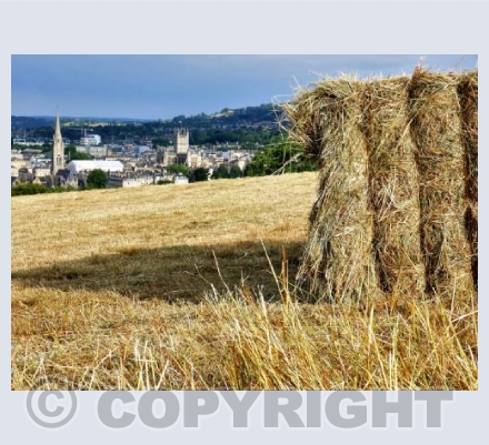 Hay Bales
