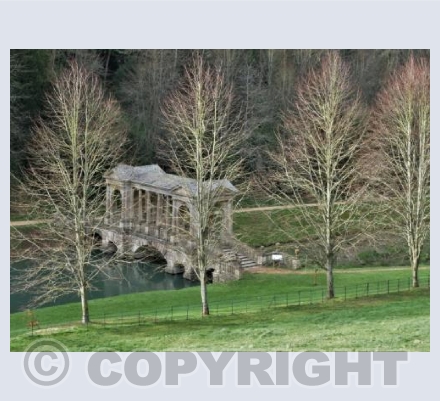 'Prior Park, Autumn'