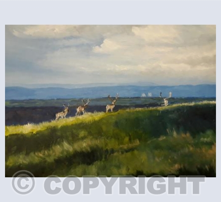 Looking West at Dyrham 