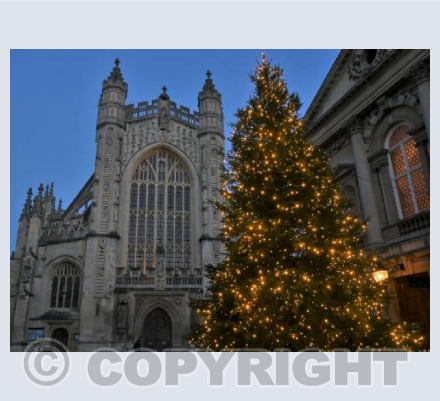 Bath Abbey Christmas Tree