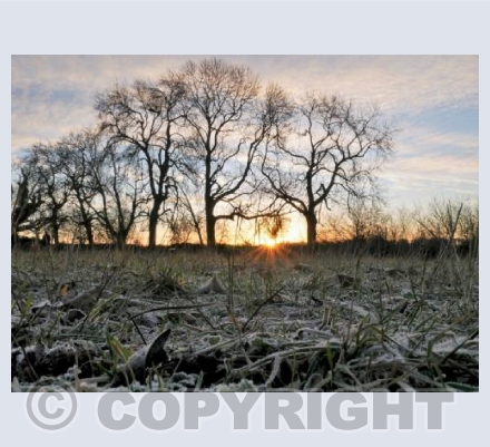 A New Year Dawns