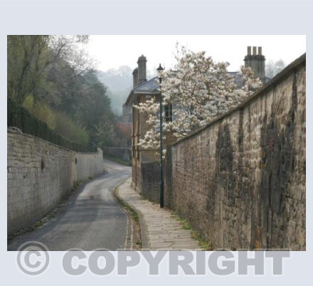 Spring in Church Street