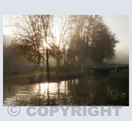 Morning Light