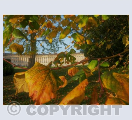 Autumn At The Royal Crescent