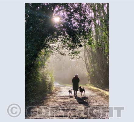 Morning Walk