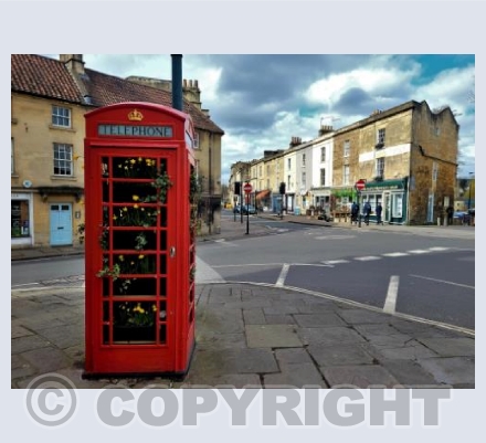 Widcombe - Spring Flowers
