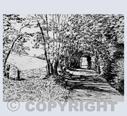 Smallcombe Afternoon