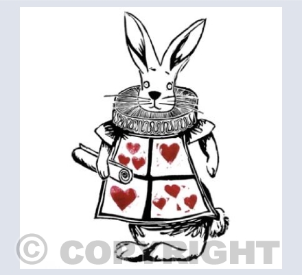 White Rabbit 