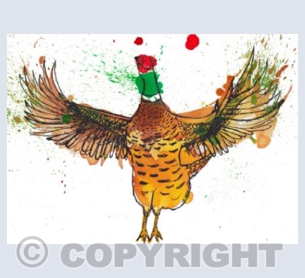 Flapping Pheasant