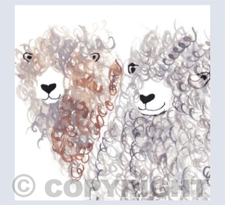 Peepy sheep 