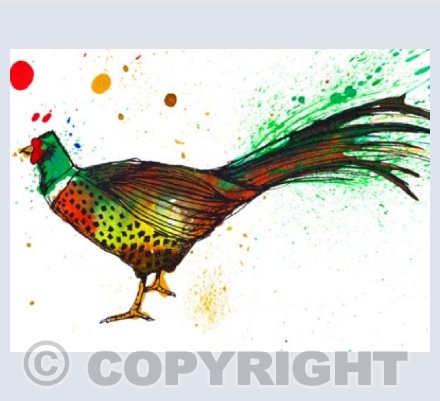 Pheasant