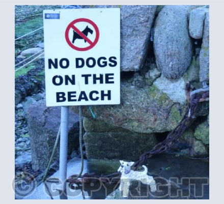 Ben visits Mousehole Beach