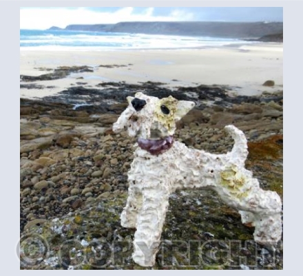 Ben visits Sennen Beach
