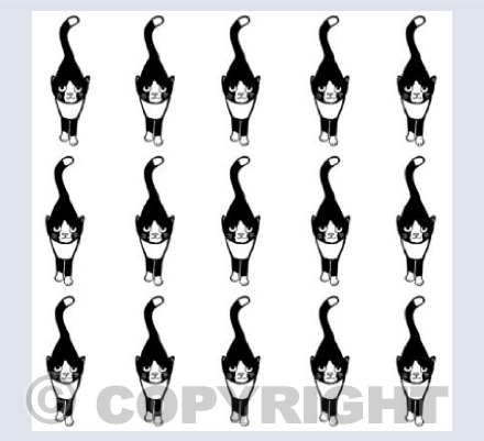 Black and White Stalking Cat Grid