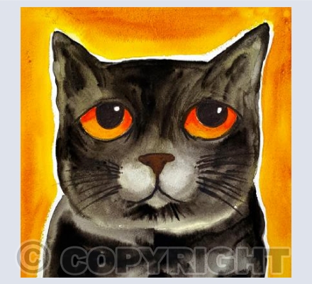 Timothy Black Cat