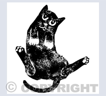 Sitting Black Cat White Paws