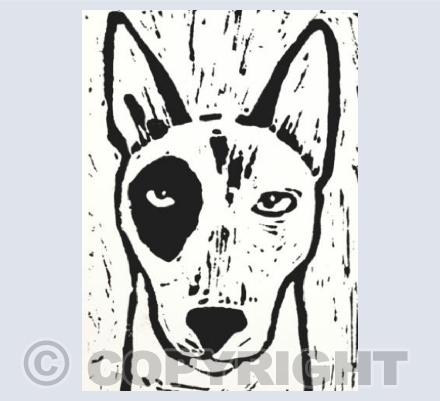 English Bull Terrier 