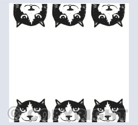 peeping cats