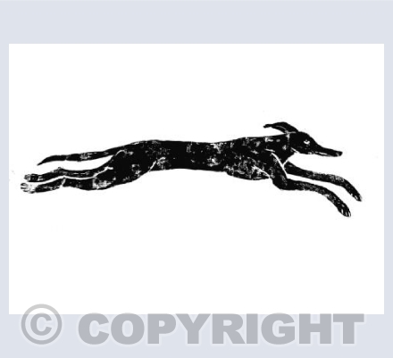 Running Greyhound
