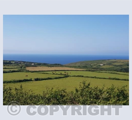 coast road vista