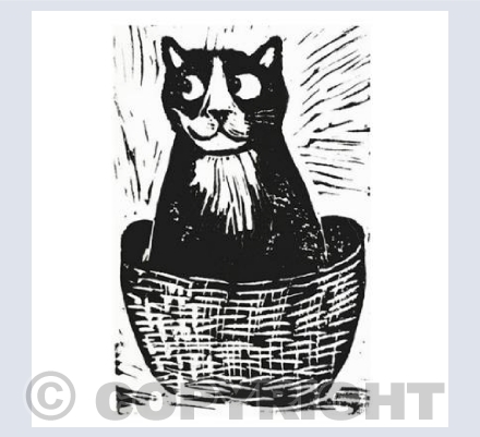 cat in a basket square