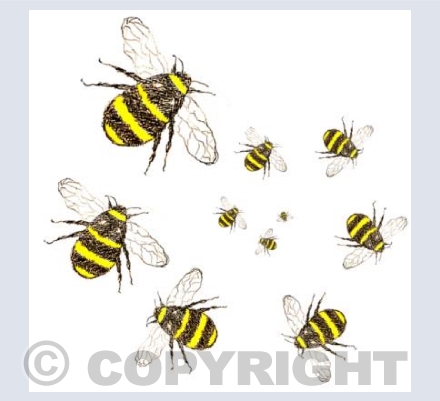 Bumble Bee Spiral