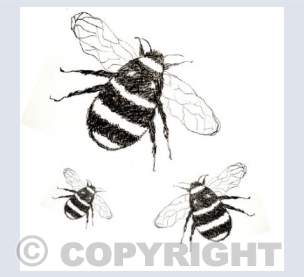 Three Bees Black and White