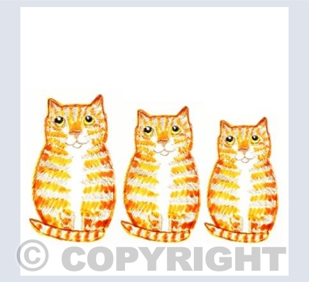 Three Ginger Cats