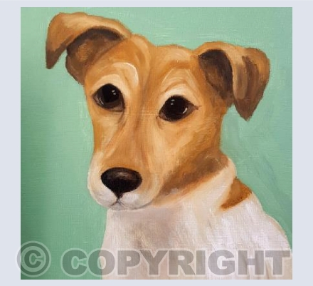 Jack Russell Diva