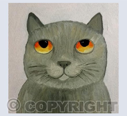 Squidgy Cat