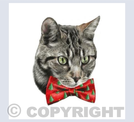 Feline Festive 
