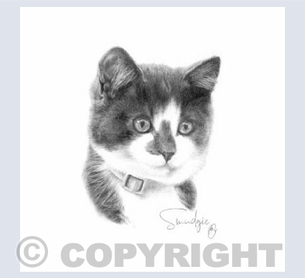 Smudgie