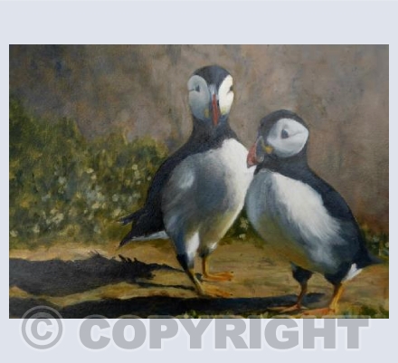 Summer Visitors Skomer