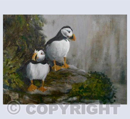 Puffins