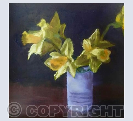 Daffodils
