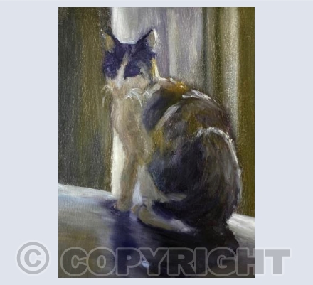 Feline Friend