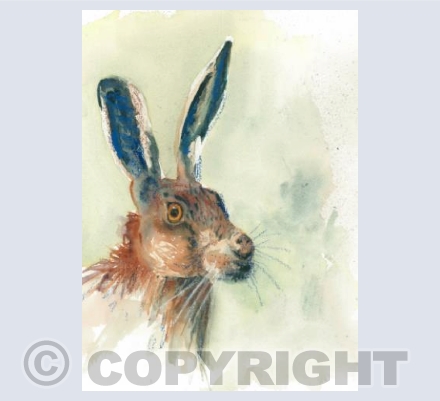 Hare Alert