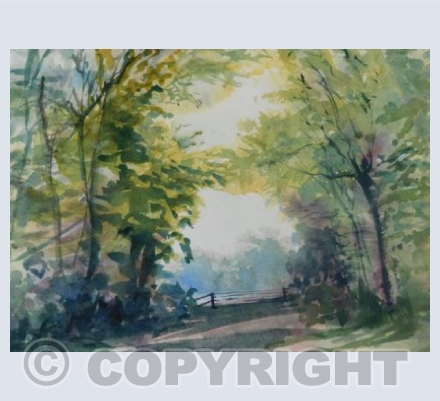 New Forest View